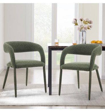 Joseph Dining Chairs, Set of 2