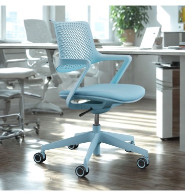 Sena Ergonomic Office Chair